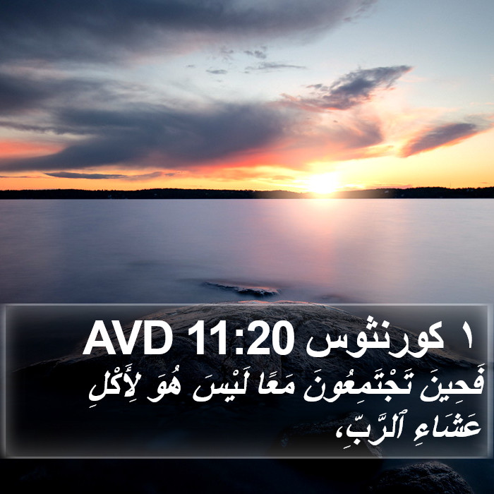 ١ كورنثوس 11:20 AVD Bible Study