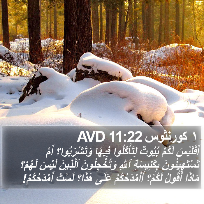 ١ كورنثوس 11:22 AVD Bible Study