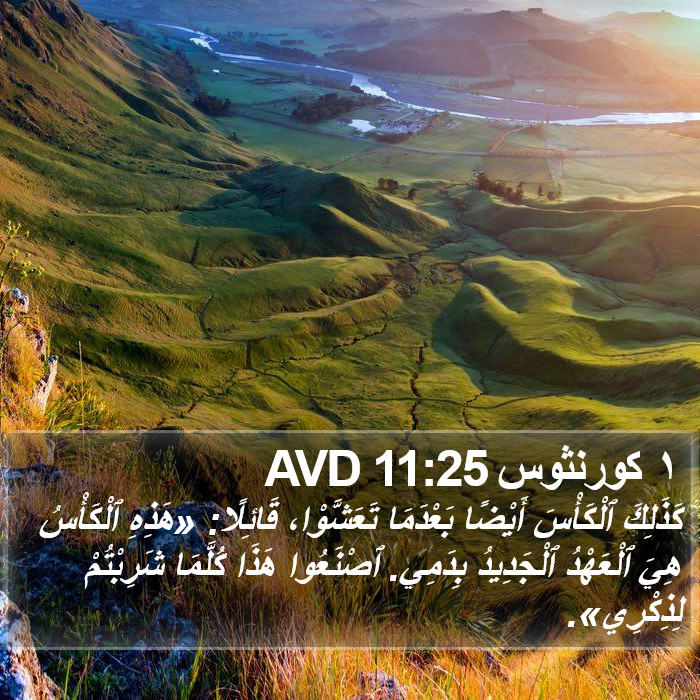 ١ كورنثوس 11:25 AVD Bible Study