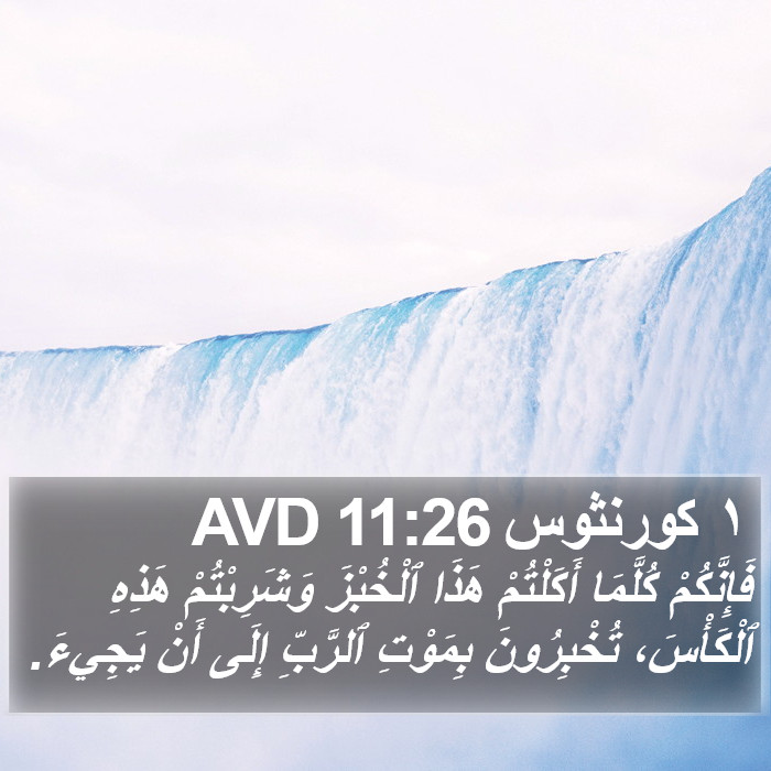 ١ كورنثوس 11:26 AVD Bible Study