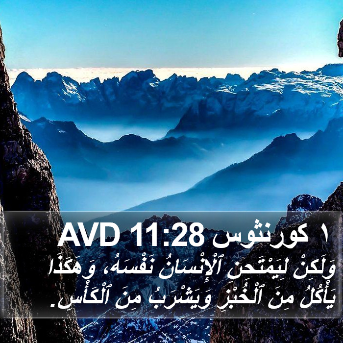 ١ كورنثوس 11:28 AVD Bible Study