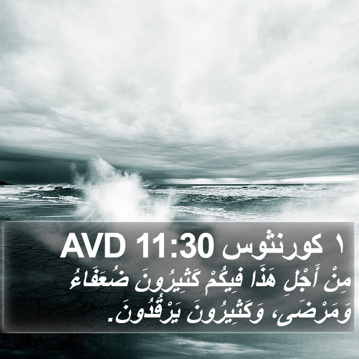 ١ كورنثوس 11:30 AVD Bible Study