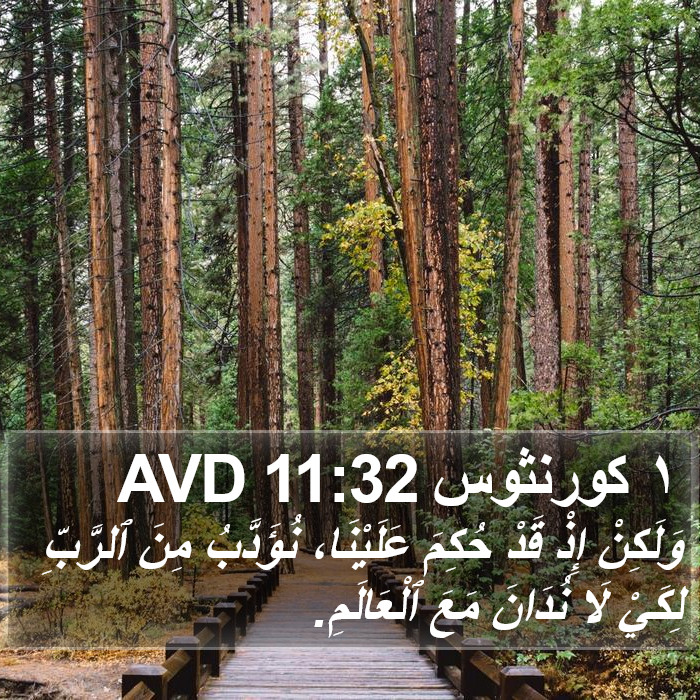 ١ كورنثوس 11:32 AVD Bible Study