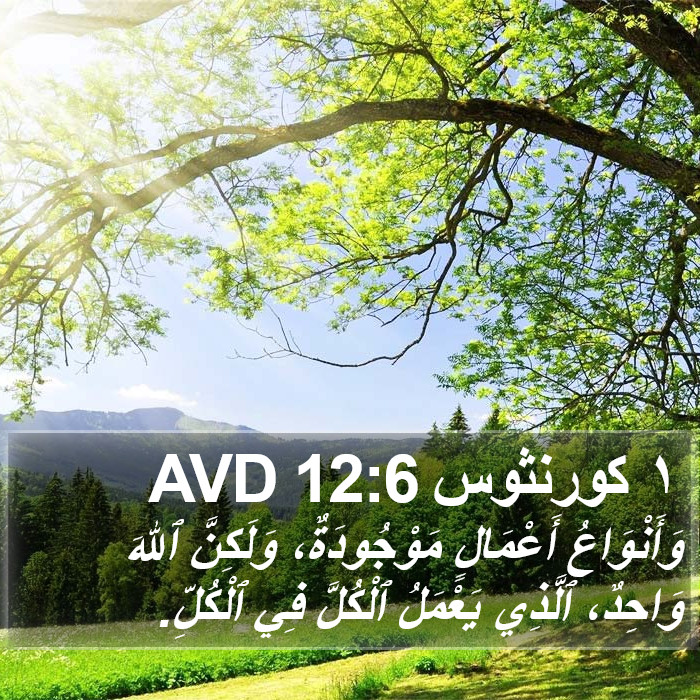 ١ كورنثوس 12:6 AVD Bible Study