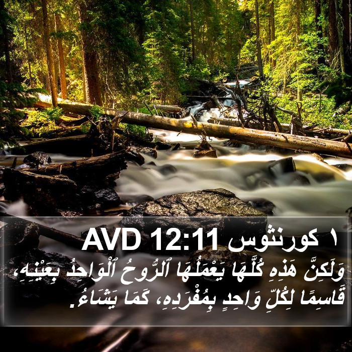 ١ كورنثوس 12:11 AVD Bible Study