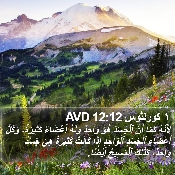 ١ كورنثوس 12:12 AVD Bible Study
