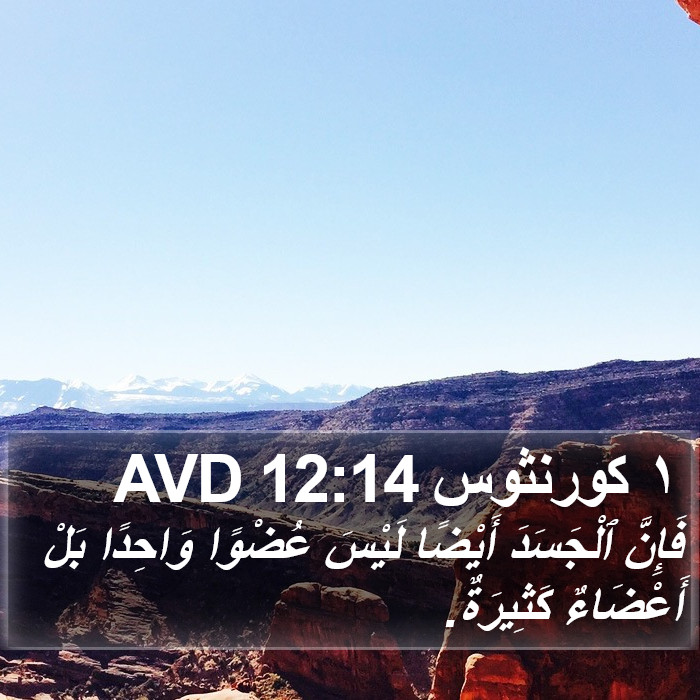 ١ كورنثوس 12:14 AVD Bible Study