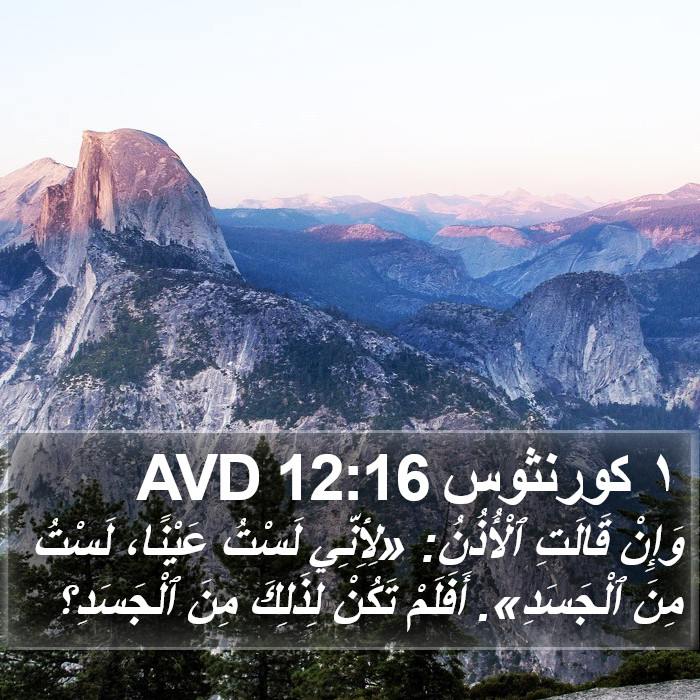 ١ كورنثوس 12:16 AVD Bible Study