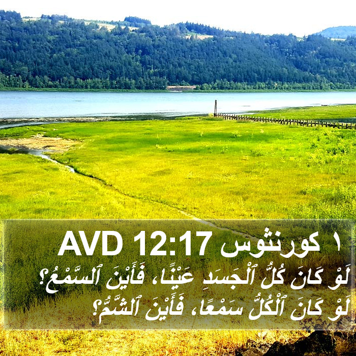 ١ كورنثوس 12:17 AVD Bible Study