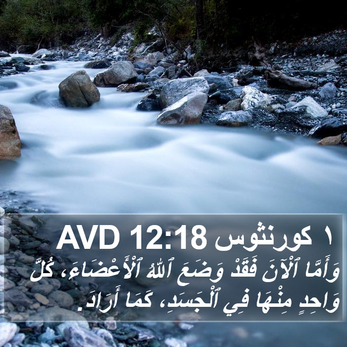 ١ كورنثوس 12:18 AVD Bible Study