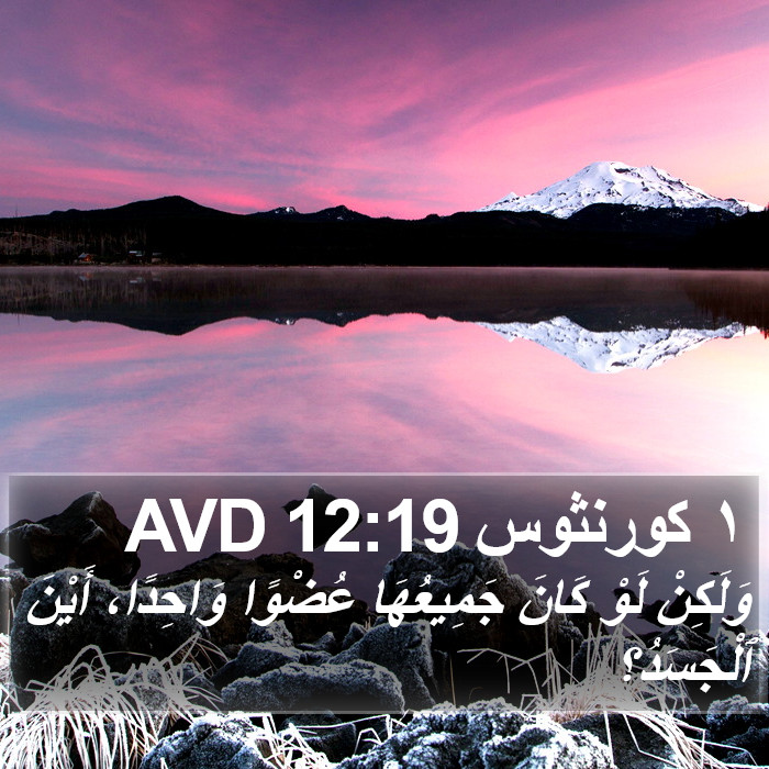 ١ كورنثوس 12:19 AVD Bible Study