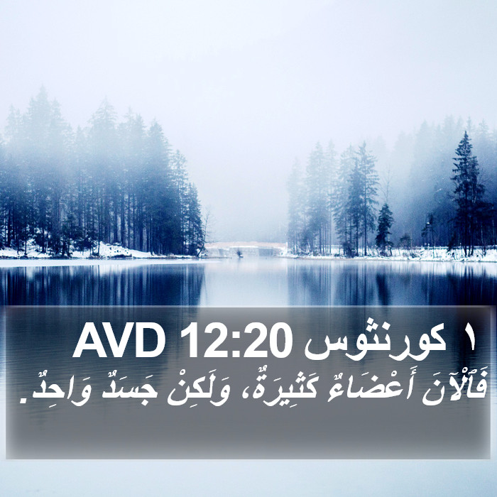 ١ كورنثوس 12:20 AVD Bible Study