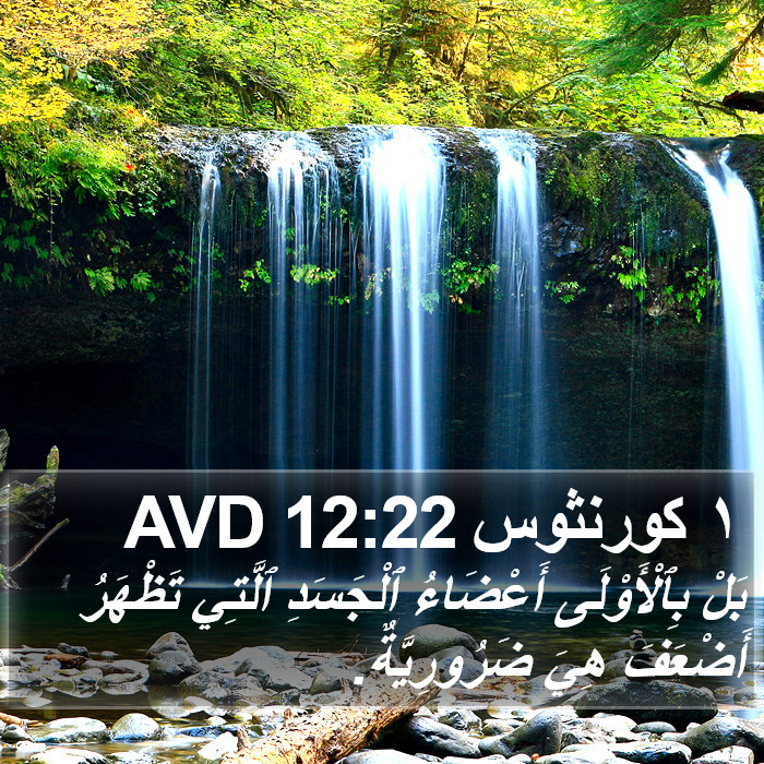 ١ كورنثوس 12:22 AVD Bible Study