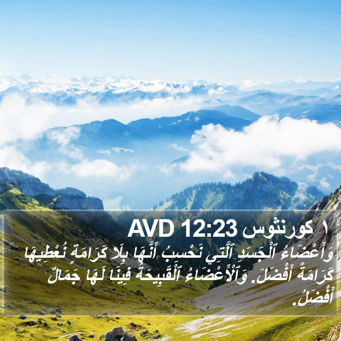 ١ كورنثوس 12:23 AVD Bible Study