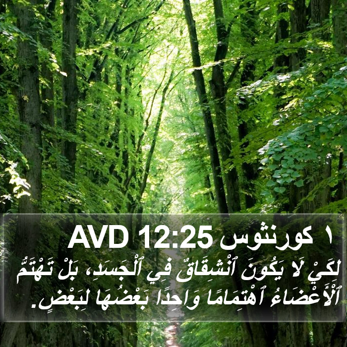 ١ كورنثوس 12:25 AVD Bible Study
