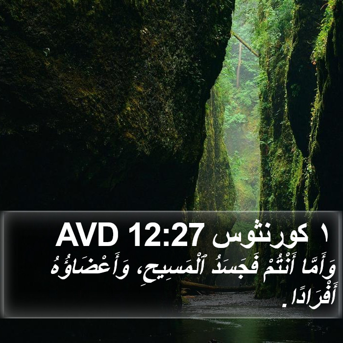 ١ كورنثوس 12:27 AVD Bible Study