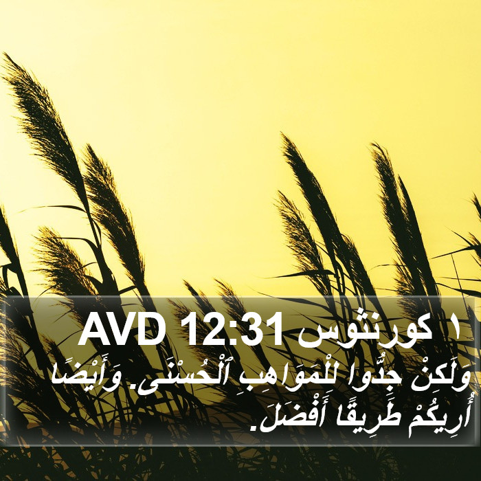 ١ كورنثوس 12:31 AVD Bible Study
