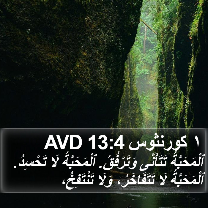 ١ كورنثوس 13:4 AVD Bible Study