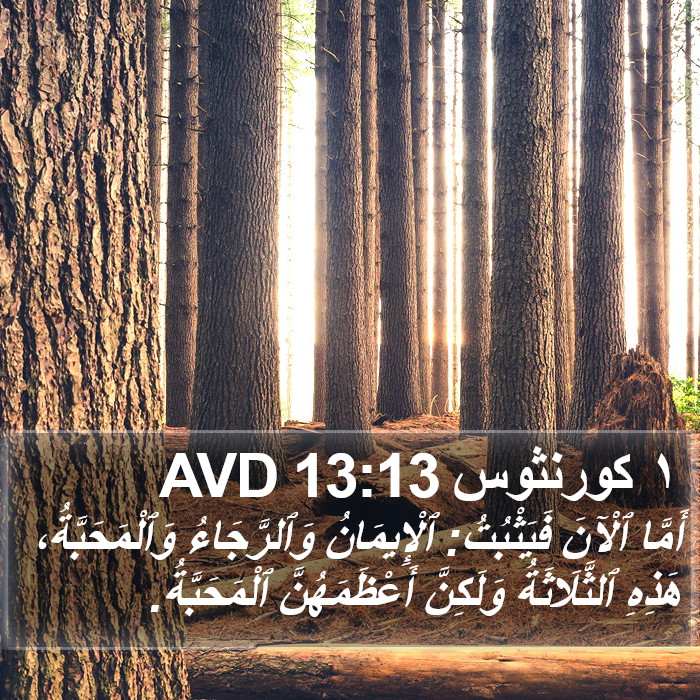 ١ كورنثوس 13:13 AVD Bible Study