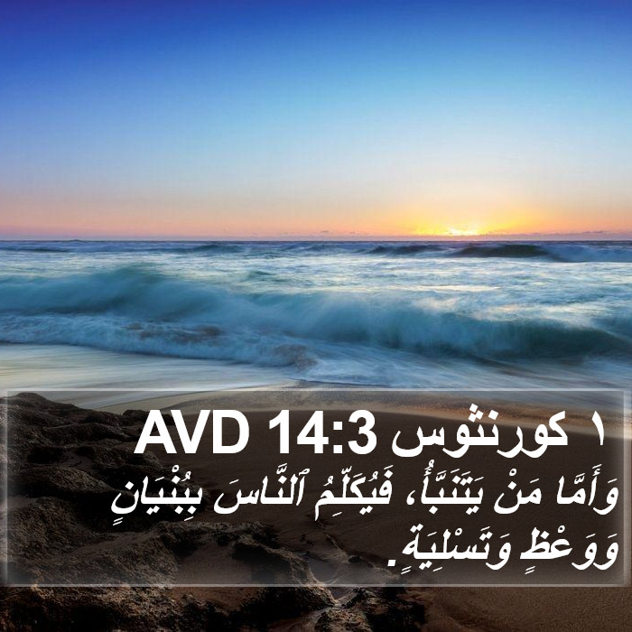 ١ كورنثوس 14:3 AVD Bible Study