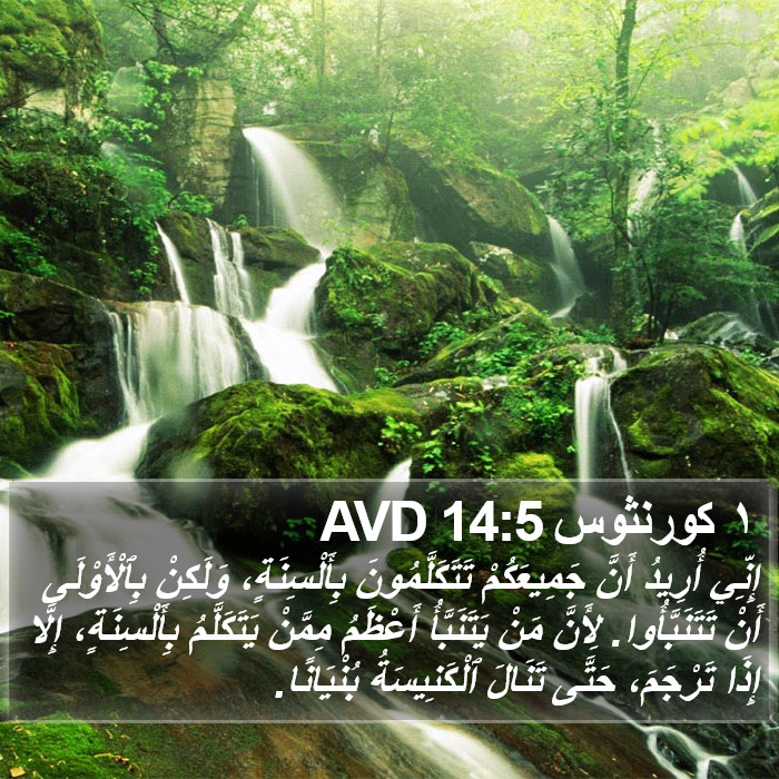 ١ كورنثوس 14:5 AVD Bible Study