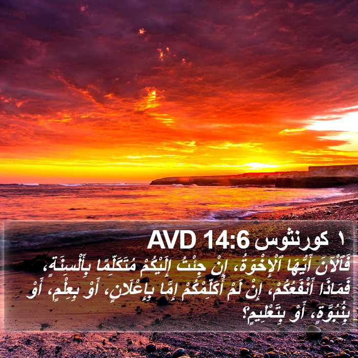 ١ كورنثوس 14:6 AVD Bible Study