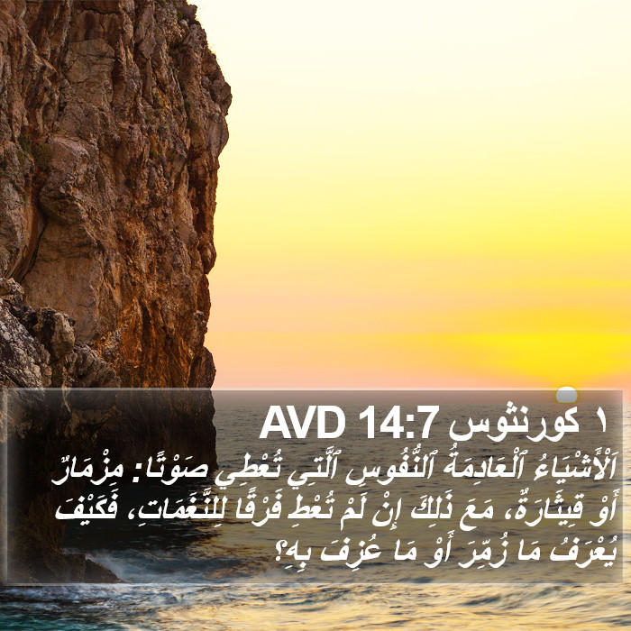 ١ كورنثوس 14:7 AVD Bible Study