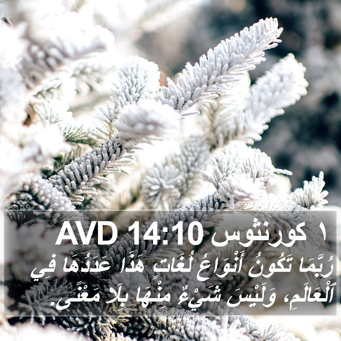١ كورنثوس 14:10 AVD Bible Study