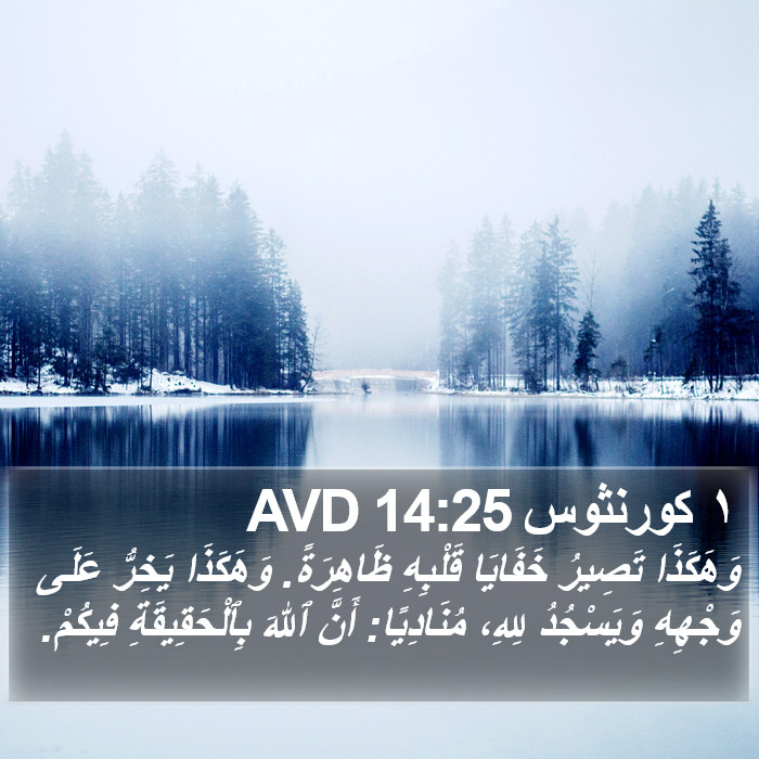 ١ كورنثوس 14:25 AVD Bible Study