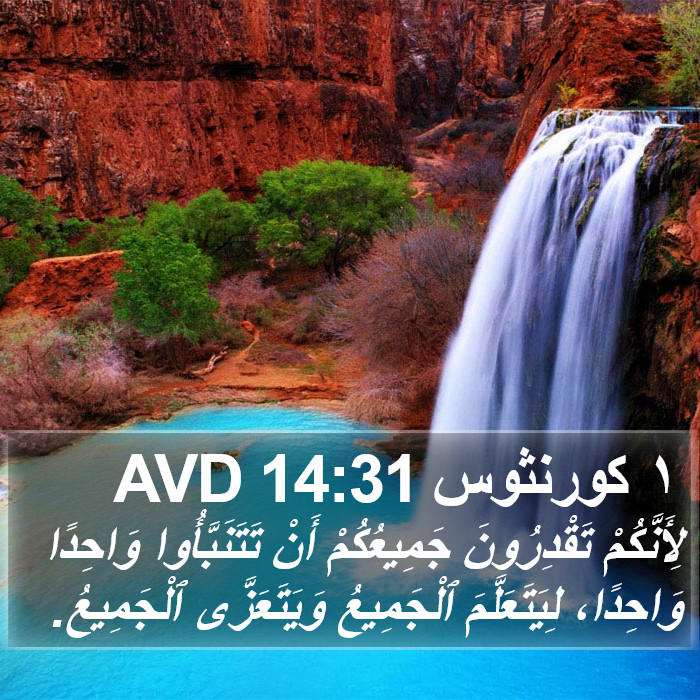 ١ كورنثوس 14:31 AVD Bible Study