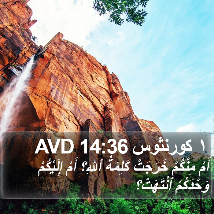 ١ كورنثوس 14:36 AVD Bible Study