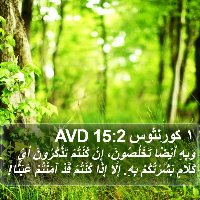 ١ كورنثوس 15:2 AVD Bible Study