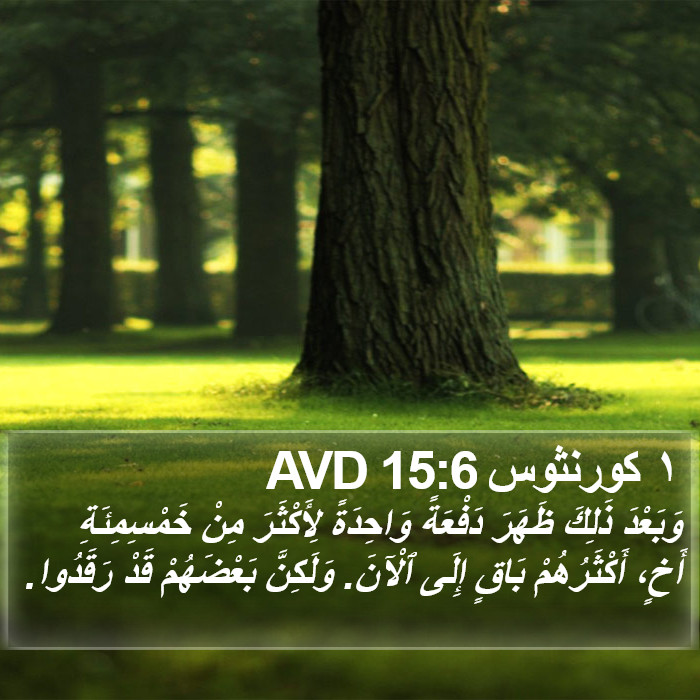 ١ كورنثوس 15:6 AVD Bible Study