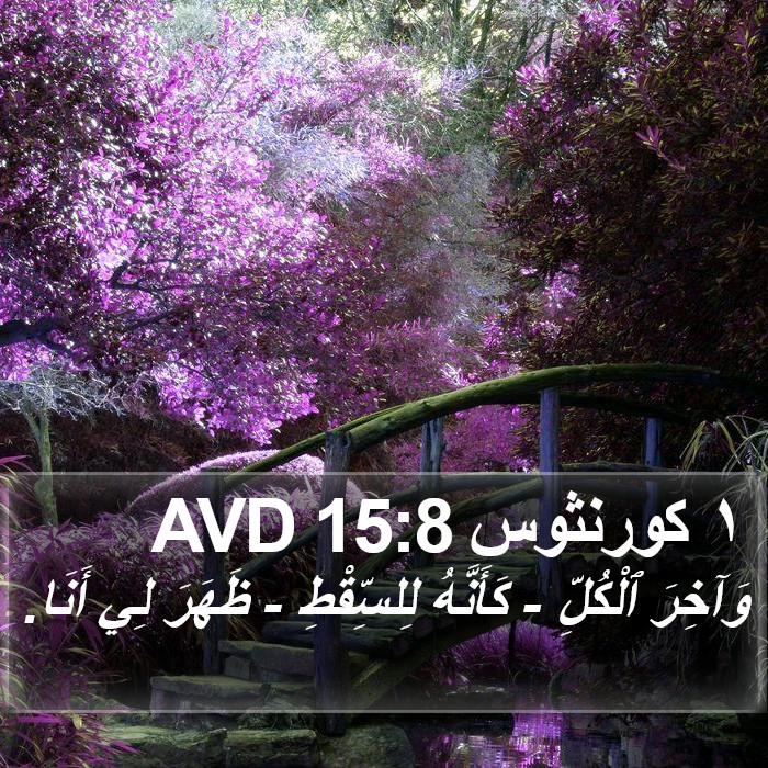 ١ كورنثوس 15:8 AVD Bible Study