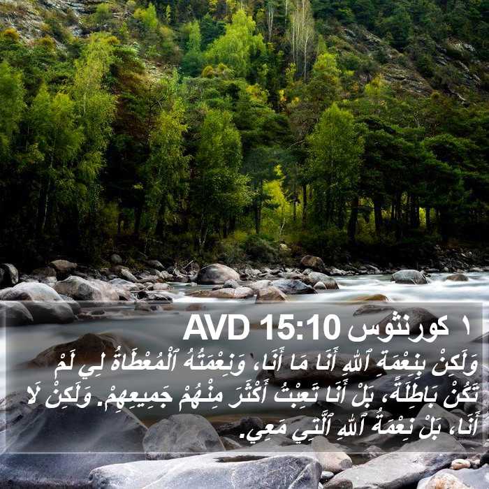 ١ كورنثوس 15:10 AVD Bible Study
