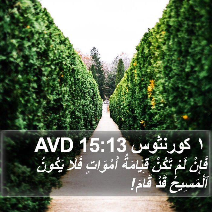 ١ كورنثوس 15:13 AVD Bible Study