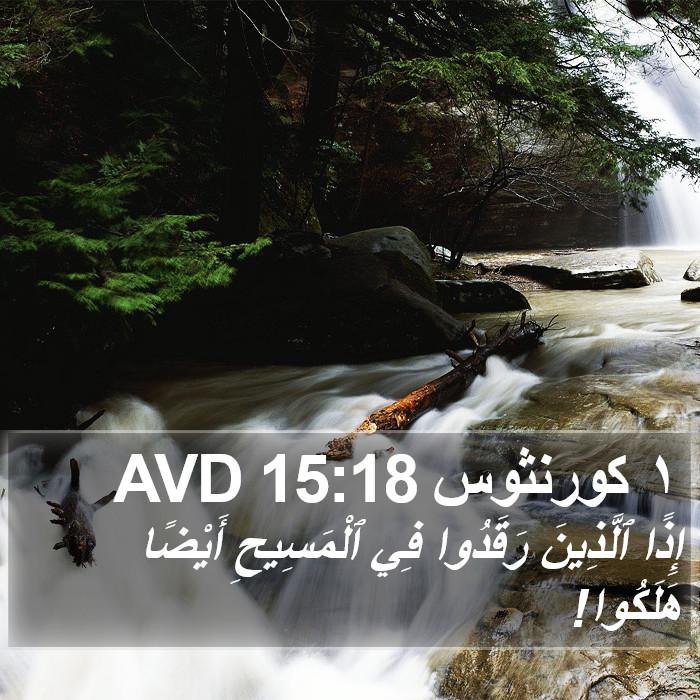 ١ كورنثوس 15:18 AVD Bible Study