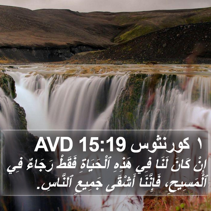 ١ كورنثوس 15:19 AVD Bible Study