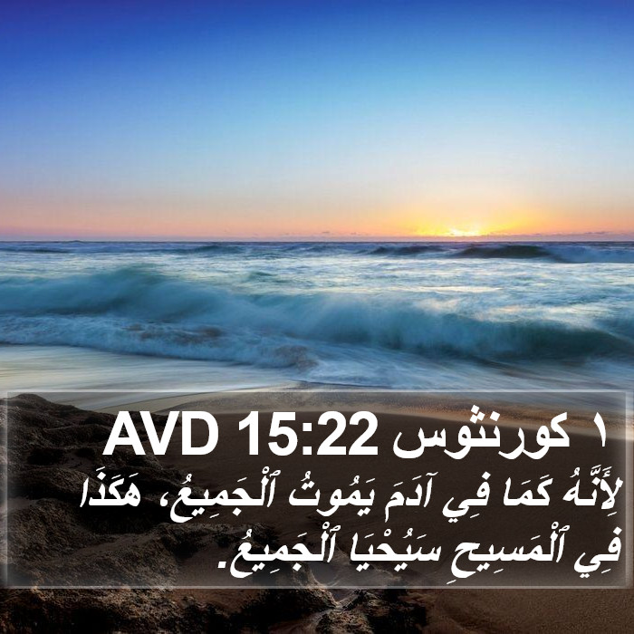 ١ كورنثوس 15:22 AVD Bible Study