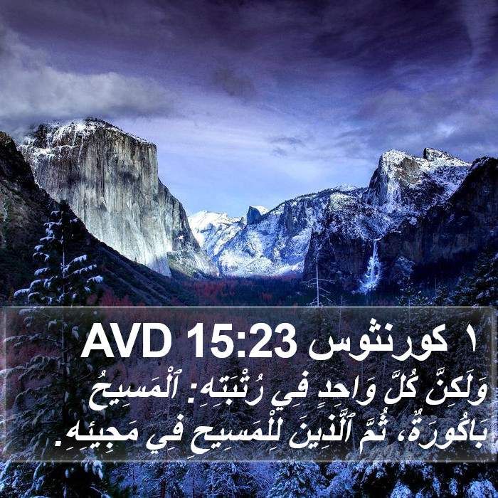 ١ كورنثوس 15:23 AVD Bible Study