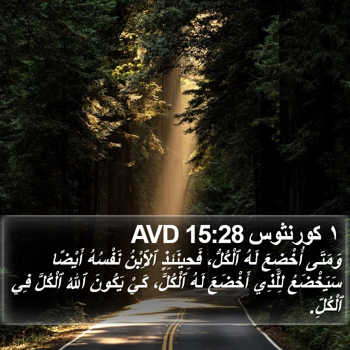 ١ كورنثوس 15:28 AVD Bible Study