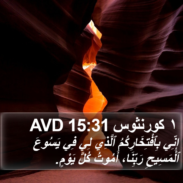 ١ كورنثوس 15:31 AVD Bible Study
