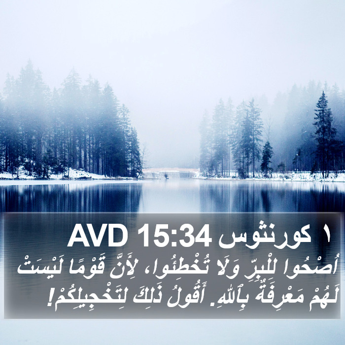 ١ كورنثوس 15:34 AVD Bible Study
