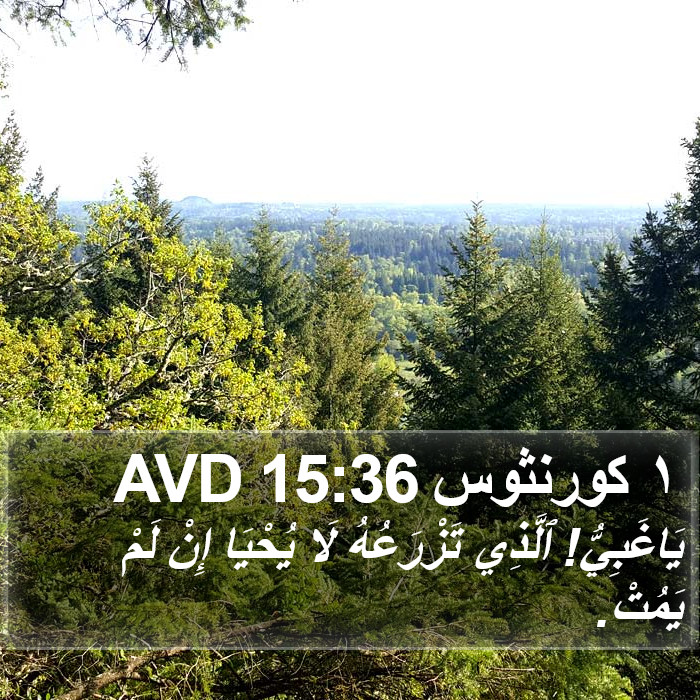 ١ كورنثوس 15:36 AVD Bible Study