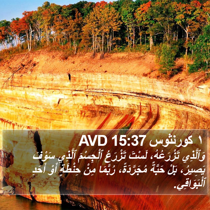 ١ كورنثوس 15:37 AVD Bible Study