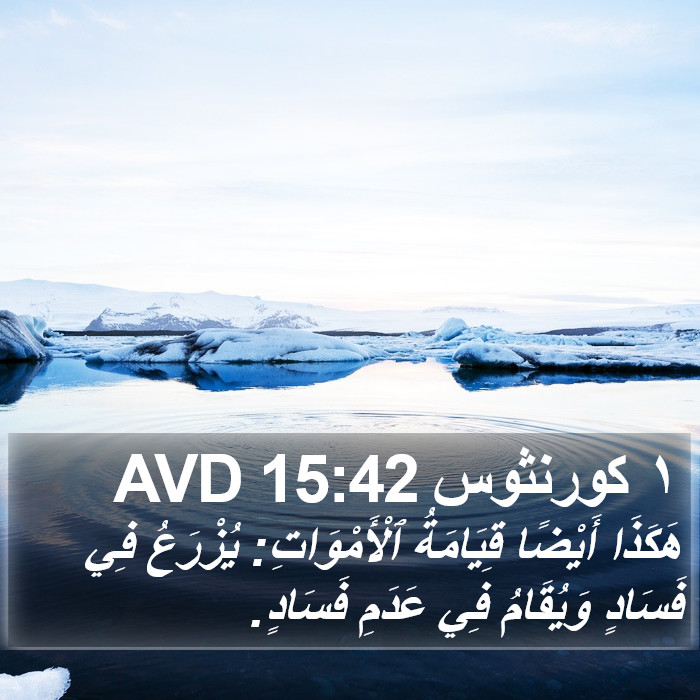 ١ كورنثوس 15:42 AVD Bible Study