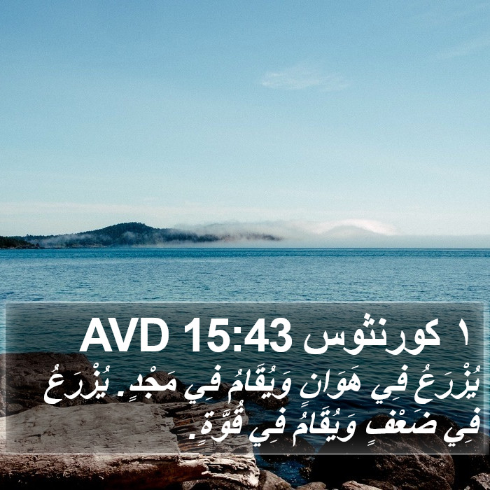 ١ كورنثوس 15:43 AVD Bible Study