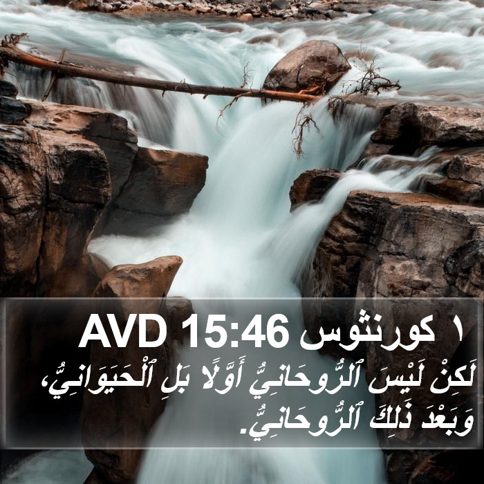 ١ كورنثوس 15:46 AVD Bible Study