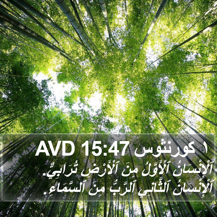١ كورنثوس 15:47 AVD Bible Study