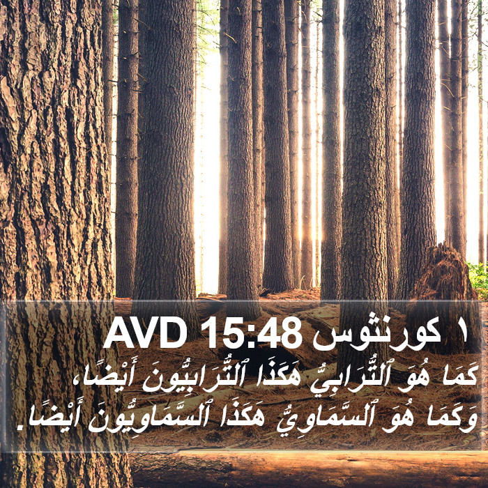 ١ كورنثوس 15:48 AVD Bible Study